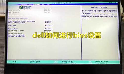 dell电脑bios设置f12_dell电脑bios设置中文