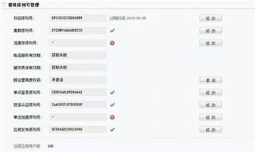 cs序列号查询_cs的序列号