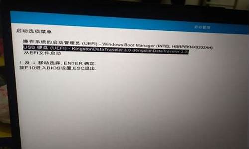 bios设置置pdf_bios设置docp