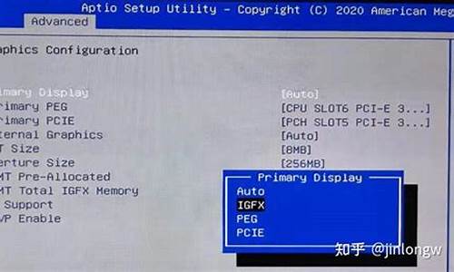 bios peg pci